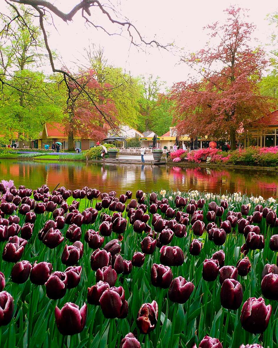holanda-02