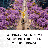GALERIA PLAZA REFORMA BANNER MAR 2026