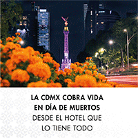 GALERIA PLAZA REFORMA BANNER OCT 2026